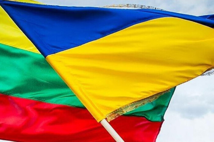 Силоміць у Литві ніхто не буде збирати українських чоловіків і відвозити в Україну