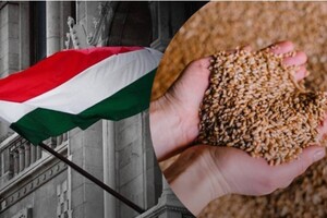 Угощина не хоче бачити зерно з України